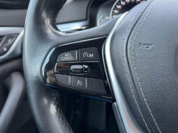 BMW Serie 5 520dA lleno