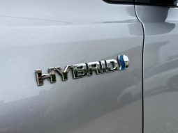 TOYOTA Rav4 2.5l hybrid 2WD Advance lleno