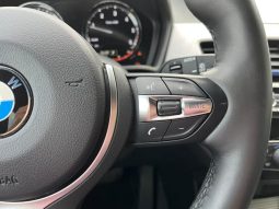 BMW X2 sDrive18d DCT lleno