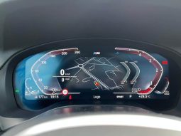 BMW X4 xDrive20d xLine lleno
