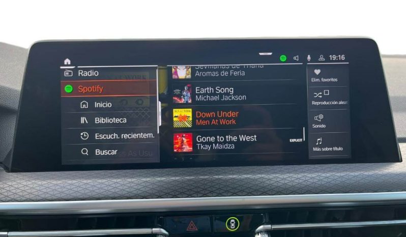 BMW X4 xDrive20d xLine lleno