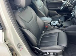 BMW X4 xDrive20d xLine lleno