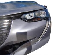 PEUGEOT 208 Allure Puretech 100 lleno