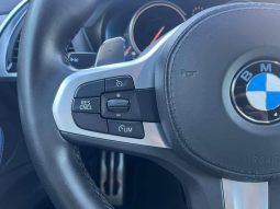 BMW X4 xDrive30d lleno