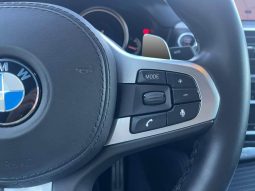 BMW X4 xDrive30d lleno