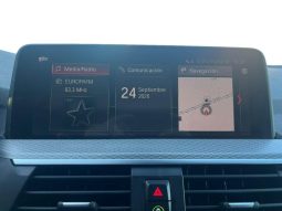 BMW X4 xDrive30d lleno