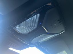BMW X4 xDrive30d lleno