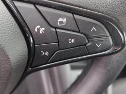 RENAULT Clio Business SCe lleno